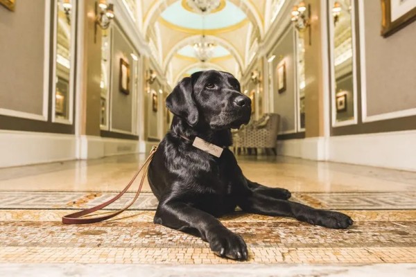 ed60de9a8404421063473126a85047b2_1791219558_8839.jpg