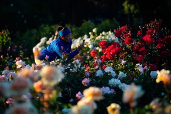 ed60de9a8404421063473126a85047b2_1791223796_2825.jpg
